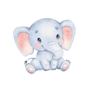 Daxiang Forever Free VPN, 象群永久免费梯子