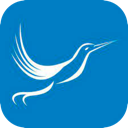 Fengniao Forever Free VPN, 小巧的鸟类永久免费梯子