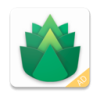 Verdant Forever Free VPN